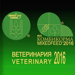 vet