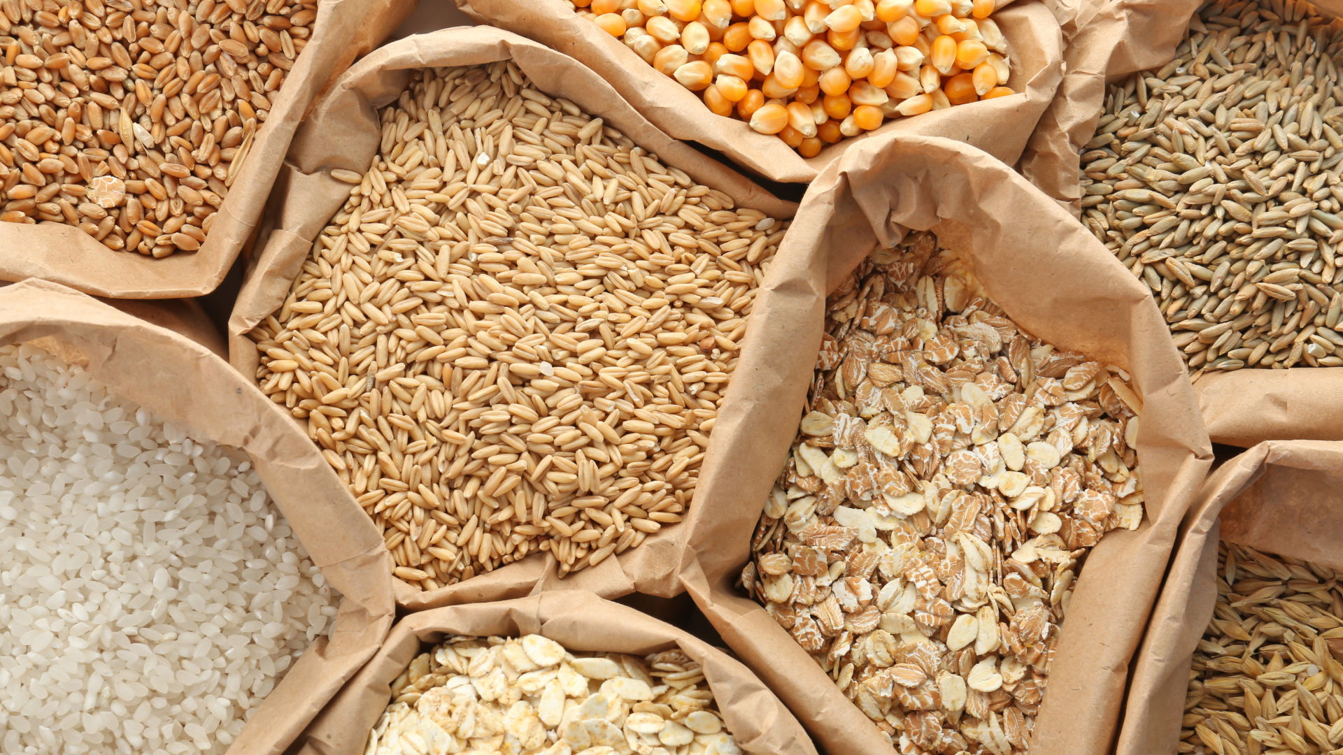 Industrial Mixers for Miscellaneous Animal Nutrition