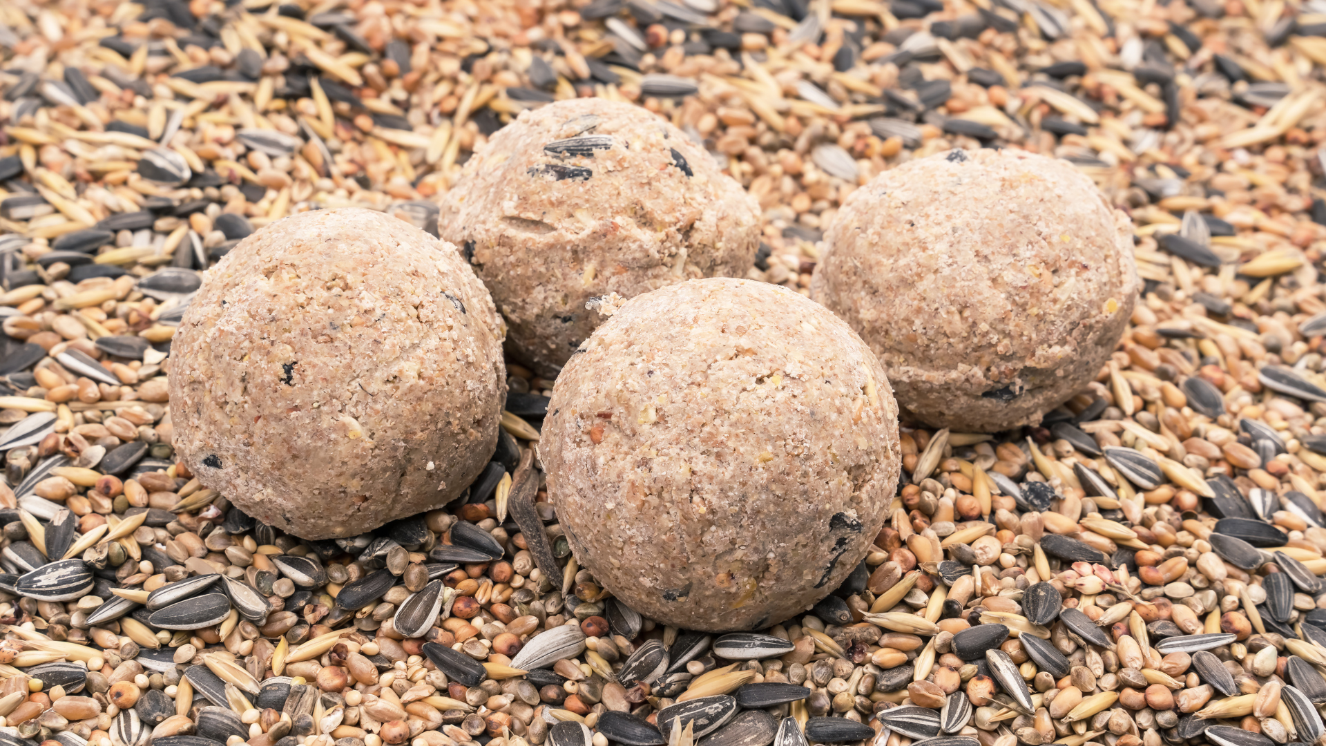 Industrial Mixers for Feed Additives