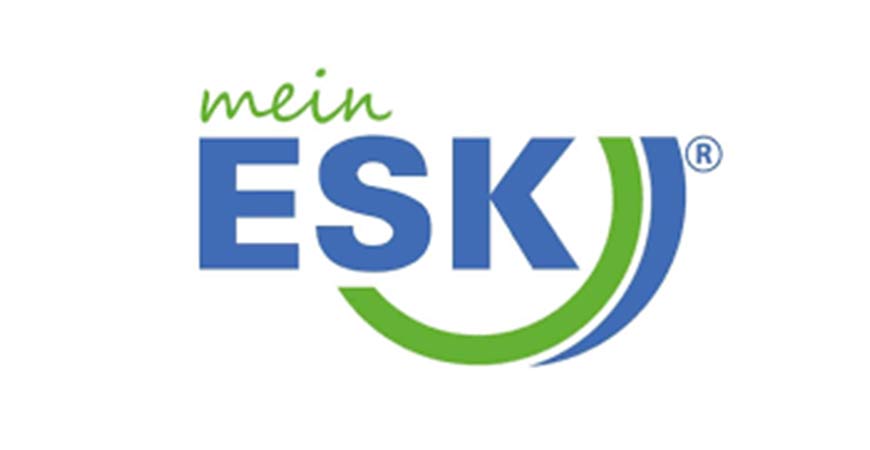 Wie beantragt man die BAFA-Förderung? Wir sprachen mit den Energieberatern von ESK._1