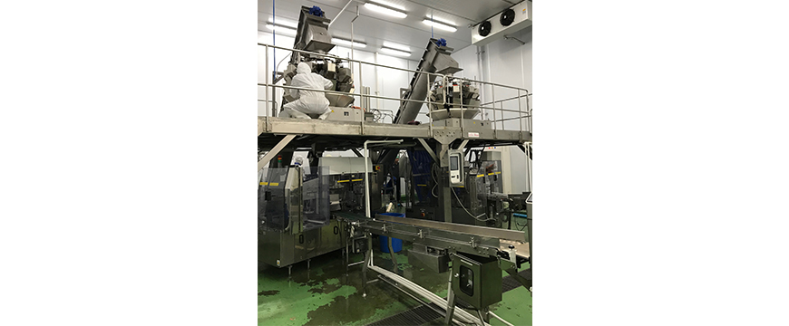 Stainless-Steel Trough Screw Conveyors for Rock Ice _1