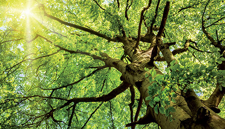 Toz kirliliği sorunlarını çözer